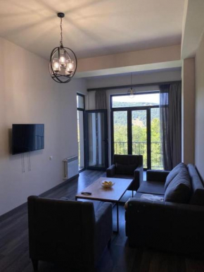 Comfortable Stay in Lovely Tsaghkadzor